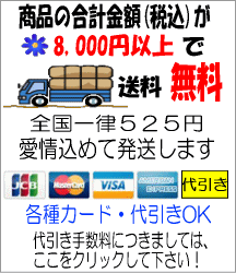 ����������Ɋւ���